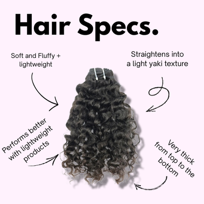 Exotic Indian Curly